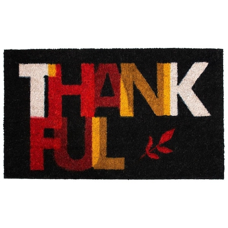 Configuracion 17 x 29 in. Thankful Rectangular Doormat Multi Color CO3369403